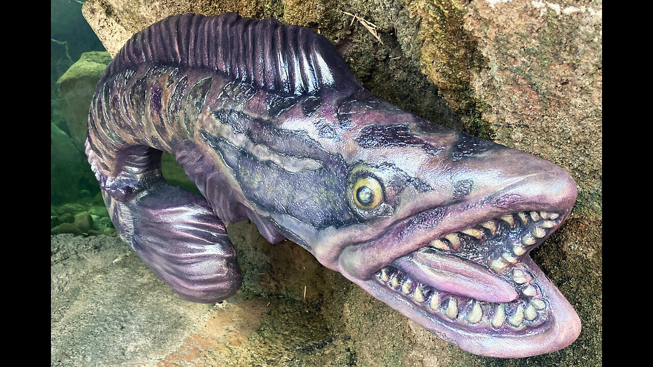 Amazing Giant Snake Head Sola Fish Cutting Skills Live In BD Fish Market