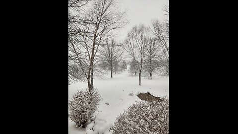 Old man winter is back!