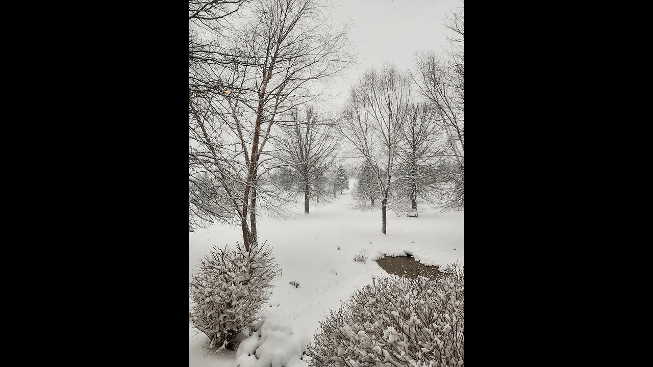 Old man winter is back!