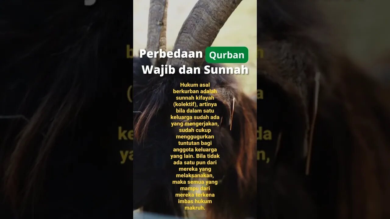 Perbedaan Qurban Wajib dan Sunnah #shorts #qurban
