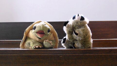 7 Wie wird die Heilige Messe gefeiert? Aus welchen Teilen besteht sie? (1. Teil)