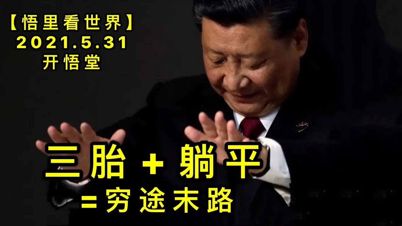 KWT1829三胎+躺平=穷途末路20210531-2【悟里看世界】