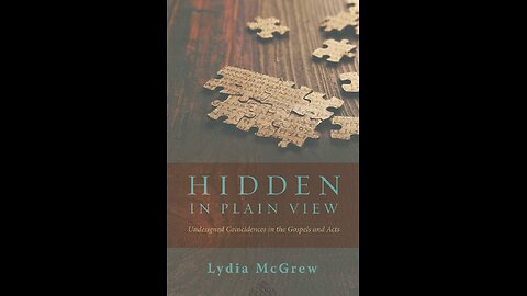 Hidden in Plain View (Book of the Week 2024-11-03)