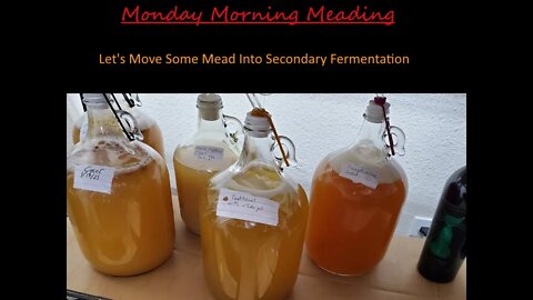 Monday Morning Meading | Moving Meads Into Secondary Fermentation
