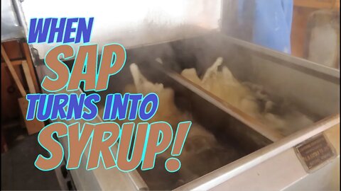 Making Pure New Hampshire Maple Syrup | Part Three | Boiling the Sap