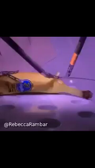 Is 5G really useful !!!