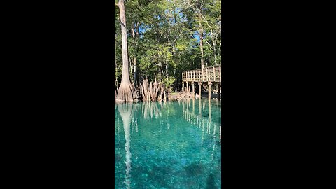 Morrison Spring: a Must Visit in the Florida Panhandle!