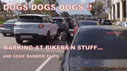 Dogs Dogs Dogs! While Riding. Everybody Loves Dogs! And Some Random Clips