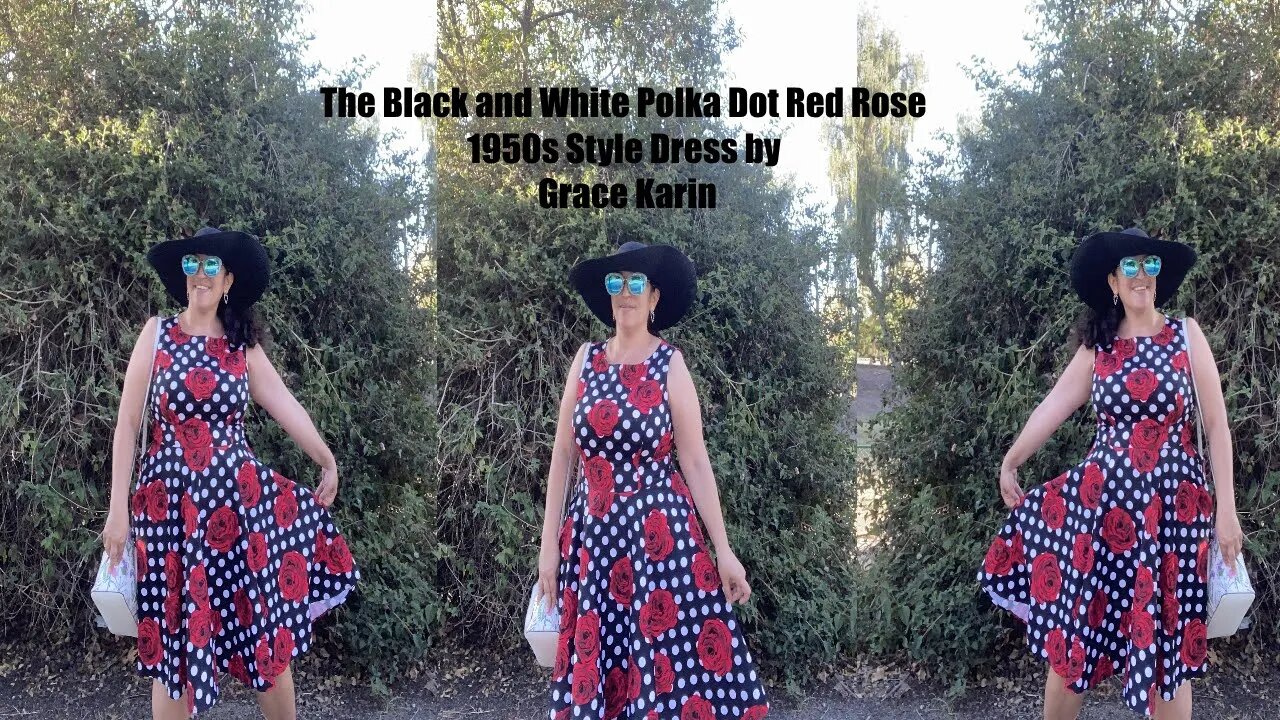 The Black and White Polka Dot Red Rose 1950s Style Grace Karin Dress