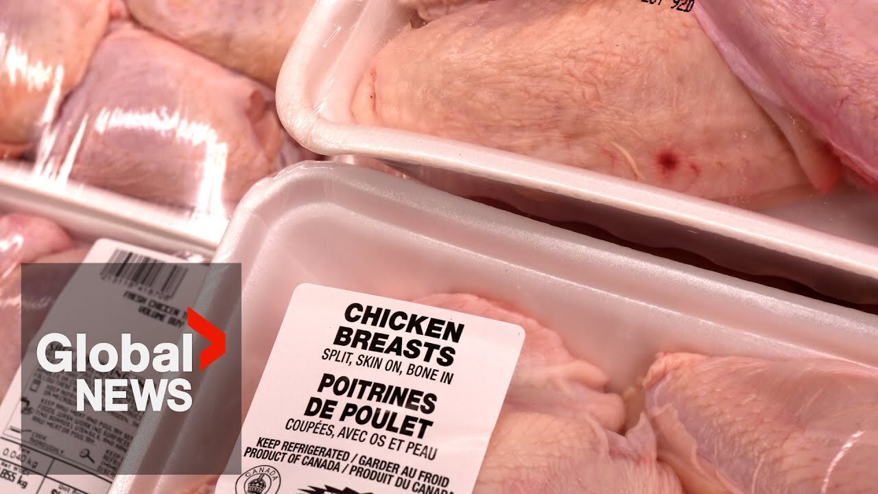 As US sees record chicken prices, economists say Canada's unlikely to be hit