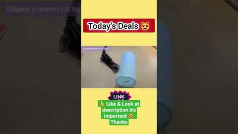 cute cat videos 😹 funny videos 😂 1213😻 #shorts