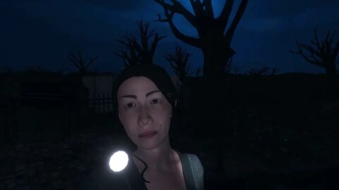 Phasmophobia 8