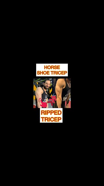 💪🏻TRICEP WORKOUT #shorts #youtubeshorts