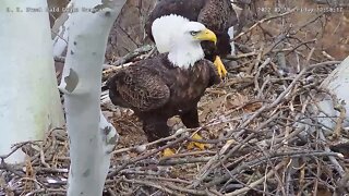 USS Eagles - Dad gets spooked & Mom flies in to help