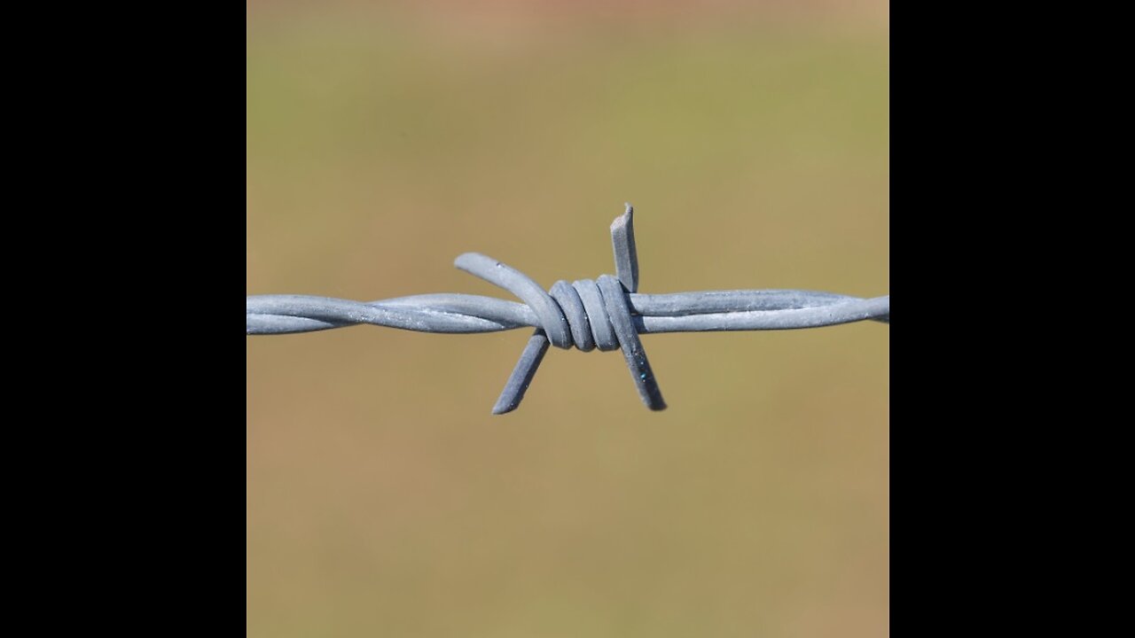 Sin is Like Barbed Wire