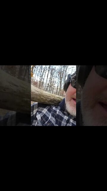 Help! Rocky is a Pain in The Arse!