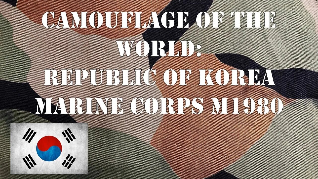 Camouflage Of The World: Republic of Korea Marine Corps M1980