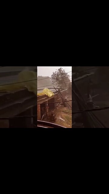 Monsoon | #shorts #subscribe #status #love #nature #rain #monsoon