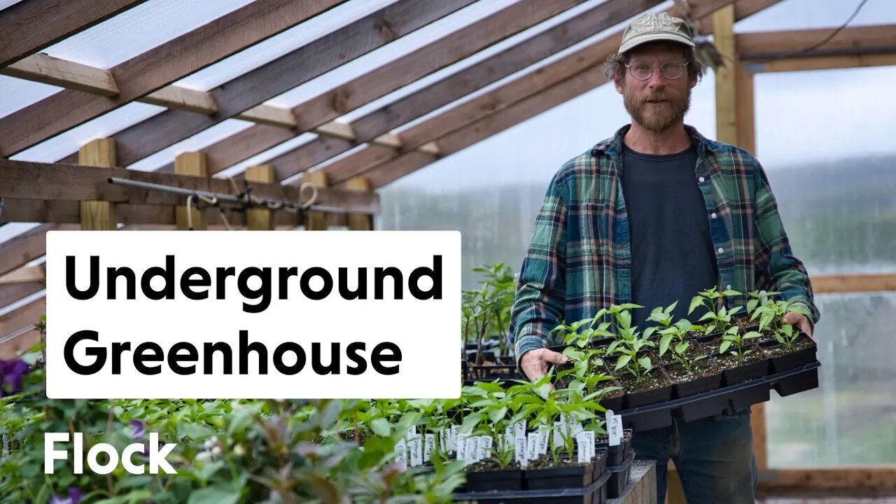 UNDERGROUND GREENHOUSE Update — Ep. 186