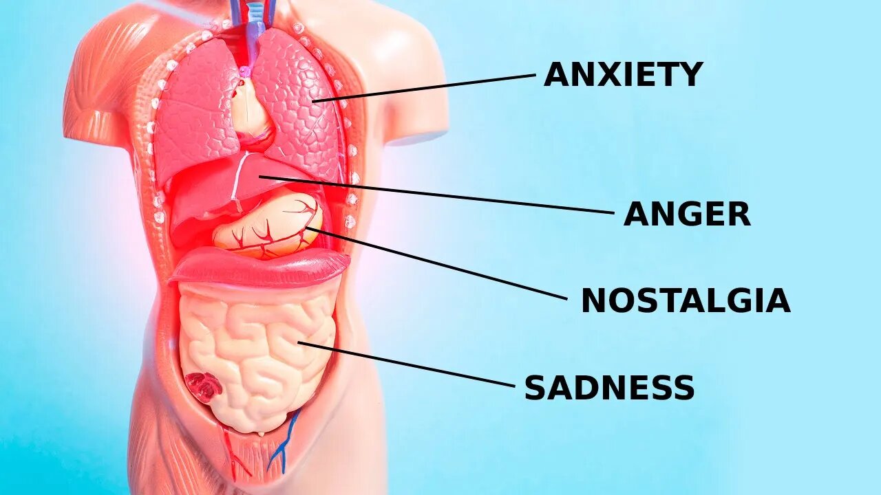 How Emotions and Organs Are Connected in Chinese Medicine