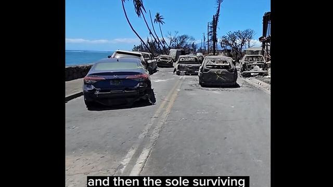 LAHAINA MAUI FIRES GEOFFCYGNUS THINGS THAT DID NOT BURN DURING THE LAHAINA FIRE