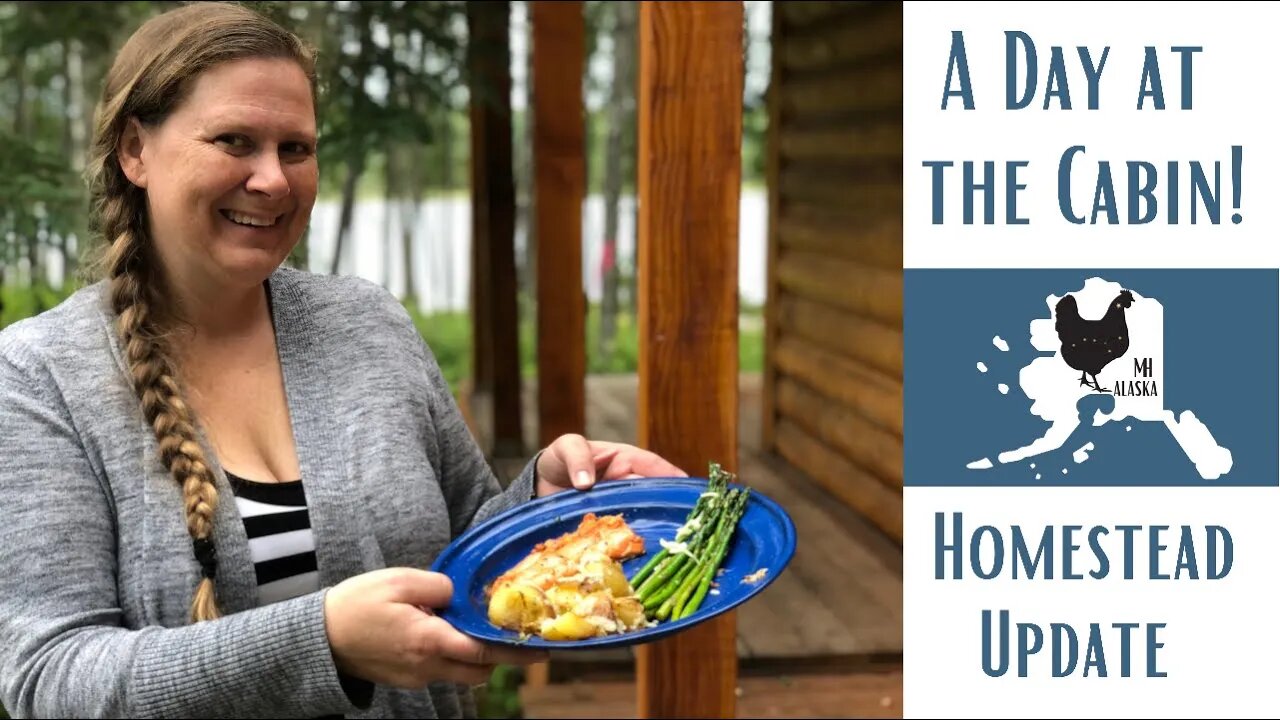 Homestead update| A day at the cabin | cooking fresh salmon | wild caught Salmon | salmon run