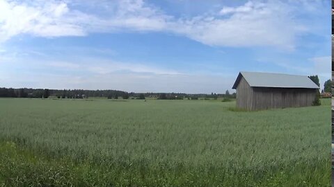 Summer scene at southern Finland