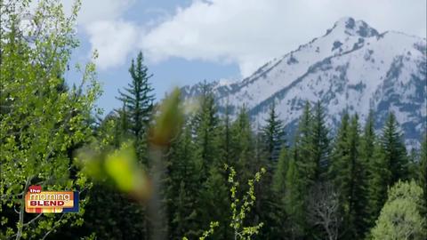 Great Yellowstone Thaw