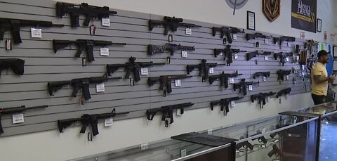 Nevadans tackle the issue of gun safety