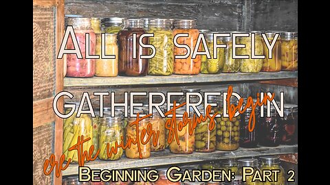 Gardening for Beginners: Part 2