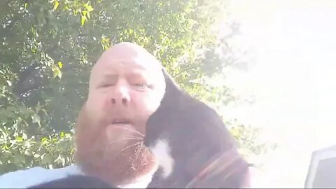 Introducing New Lab Assistant Live CHAT Q&A