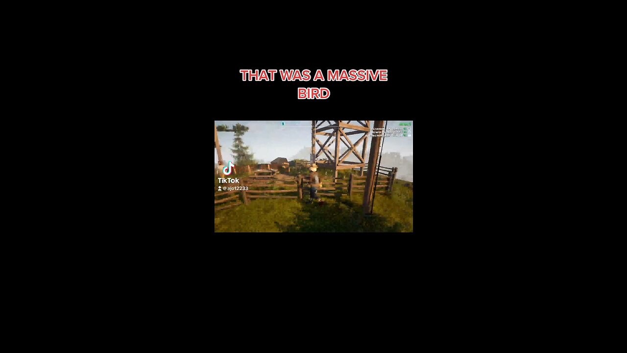 THAT WAS A MASSIVE BIRD