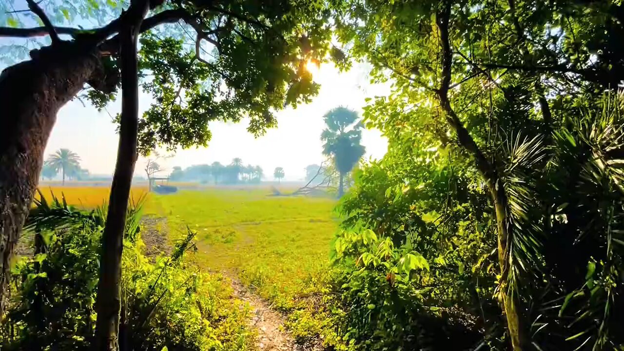 মনে রেখো আমি একদিন আসব।