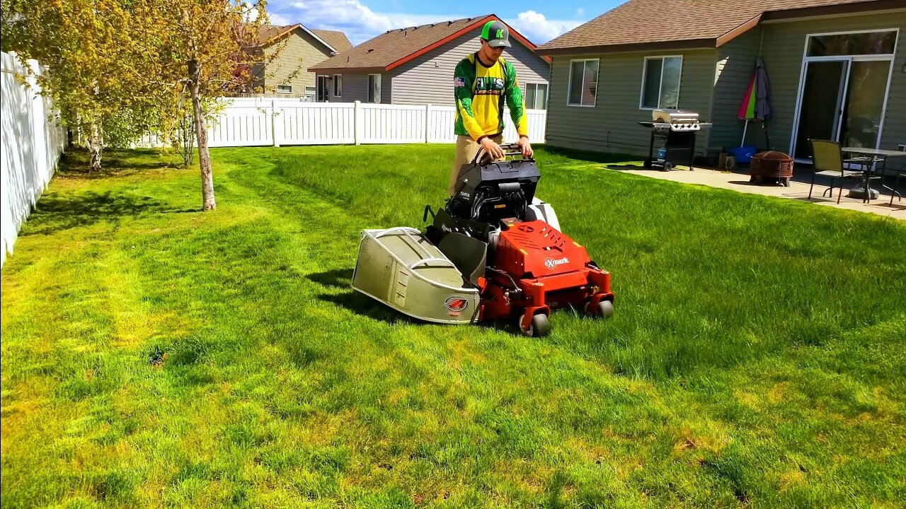 High School Teen AVOIDED This OVERGROWN Lawn So I Had To CLEAN It All Up