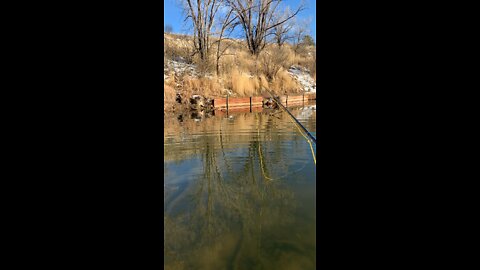 Fishing for relief