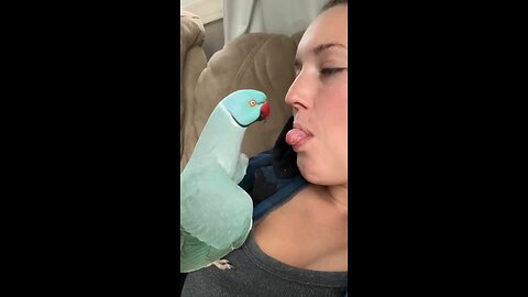 Goodness 🥹 #parrot.mp4