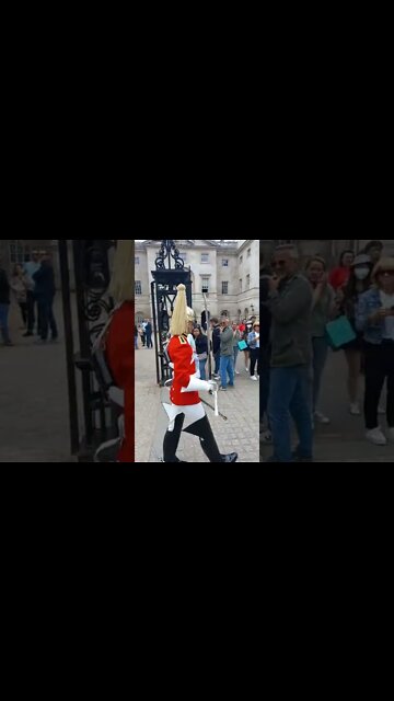 Make way horse guards parade #horseguardsparade