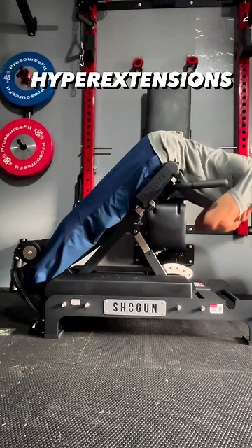 Mr Infinity Nord-Ex Preview (Nordic Bench + Back Extension Machine)