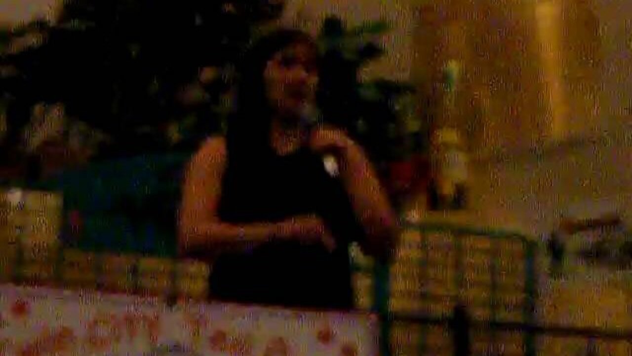 State Senator Jen Flanigan (D) at the twin city tea party 6-28 pt2.AVI