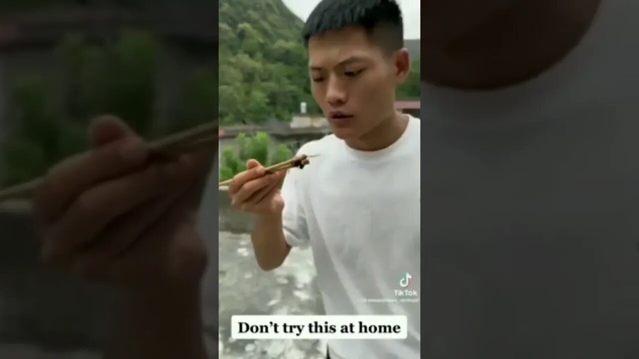 What Could Go Wrong Trying To Eat A Wasp!