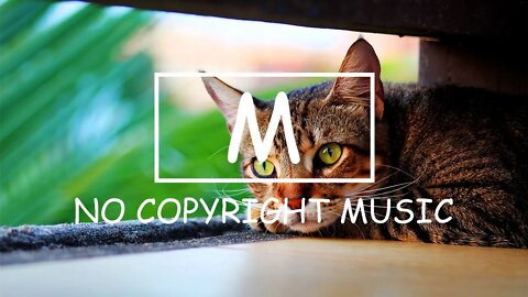 Ryan Little - Day 11（Mm No Copyright Music）