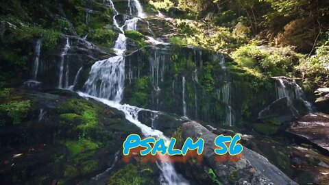 Psalm 56
