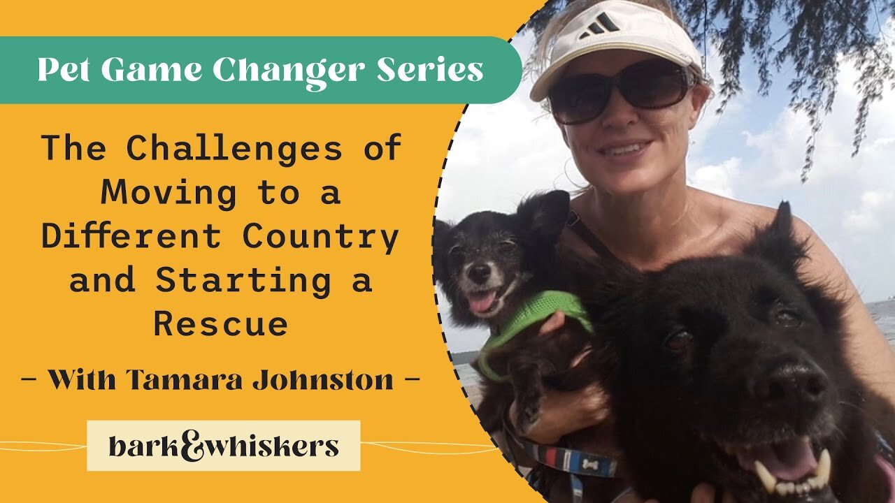 The Challenges of Moving to a Different Country and Starting a Rescue With Tamara Johnston