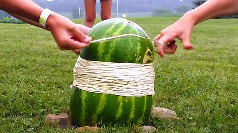 WATERMELON VS 2,000 RUBBER BANDS