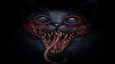 The Man in the Park 2