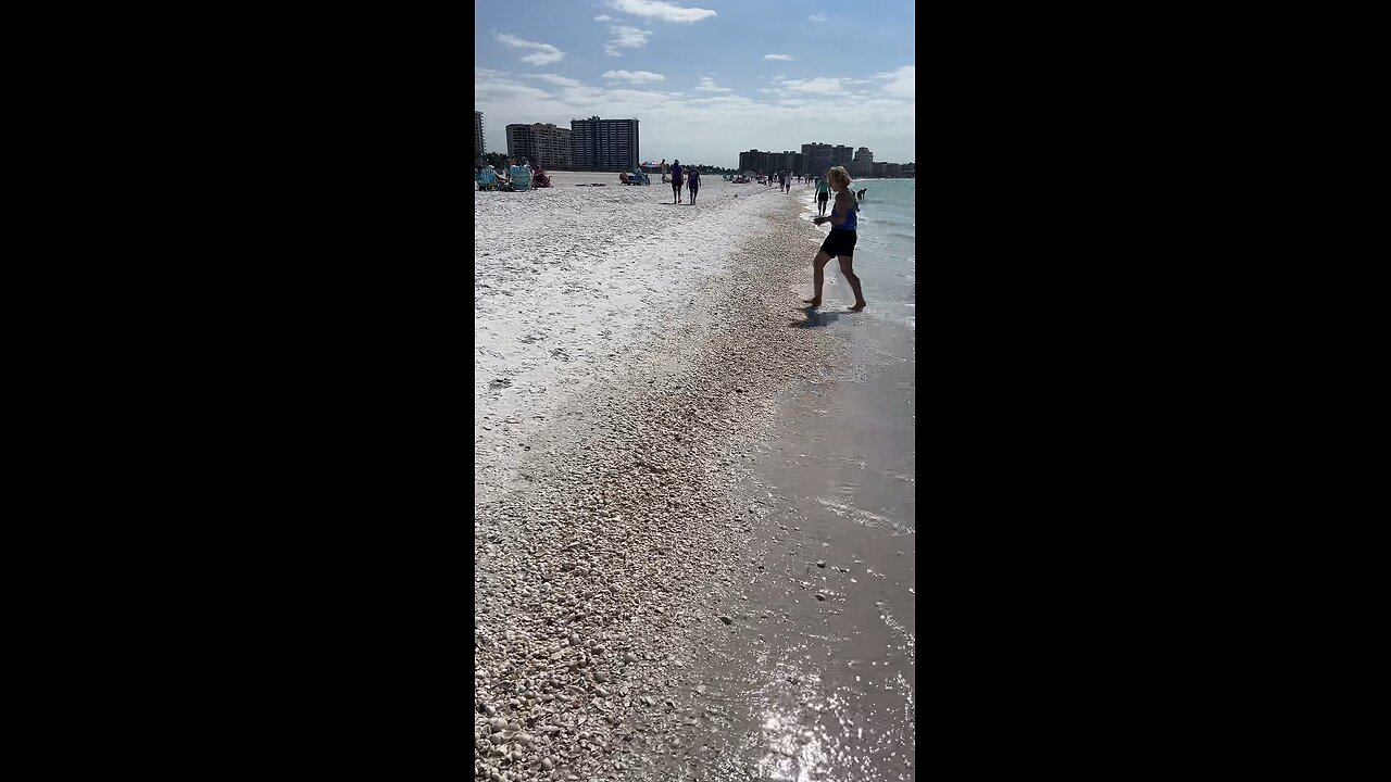 Livestream Replay - Shells, Redfish & Sheepshead!