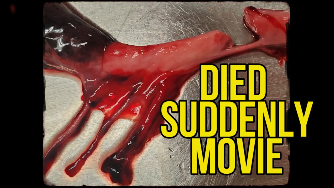 Died Suddenly MOVIE