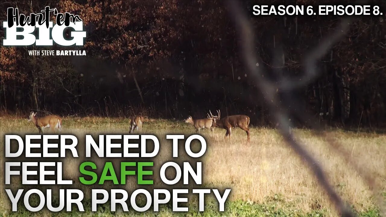 How to Make Deer Feel Safe