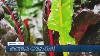 Want to grown your own veggies? CSU offers free online class