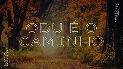 ODU É O CAMINHO! ( RESPONDENDO A PERGUNTA QUE MAIS RECEBO NOS COMENTÁRIOS)